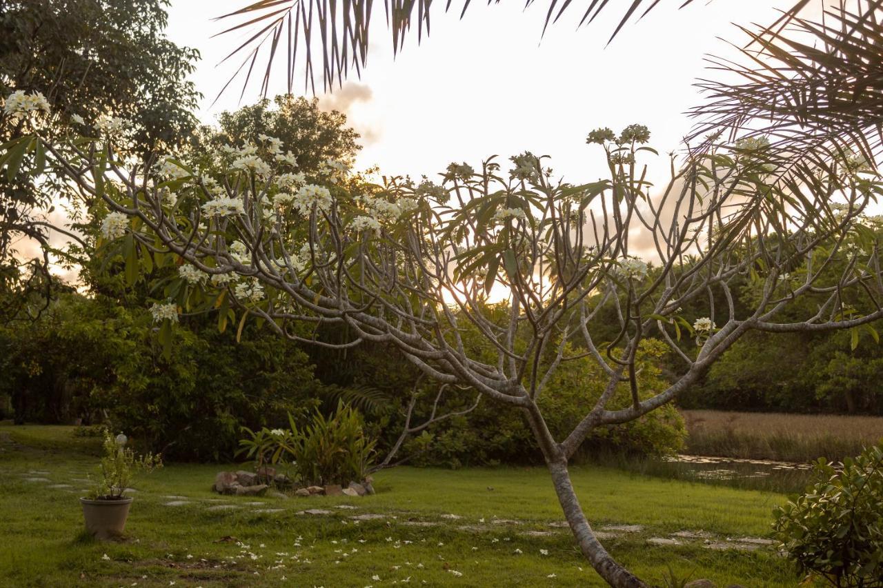 Pousada Lagoa Da Pedra Imbassai Εξωτερικό φωτογραφία